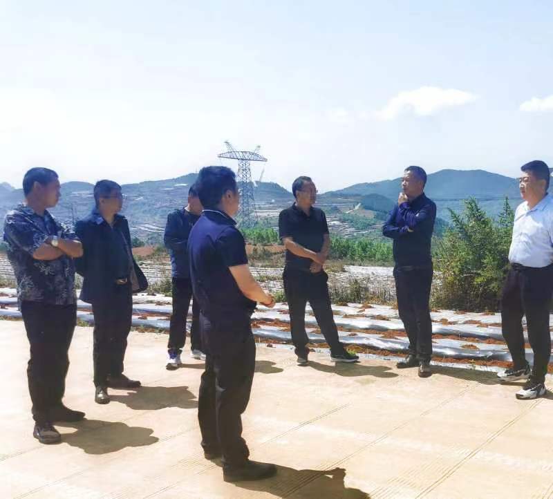 图为调研现场.jpg