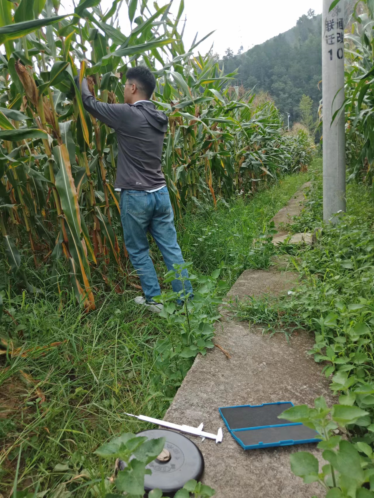 铜仁:开展农情灾情调查,做好粮食安全气象保障.jpg